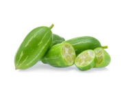 Ivy Gourd/Kovakka (India)